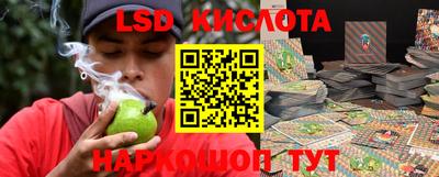стаф Рязань